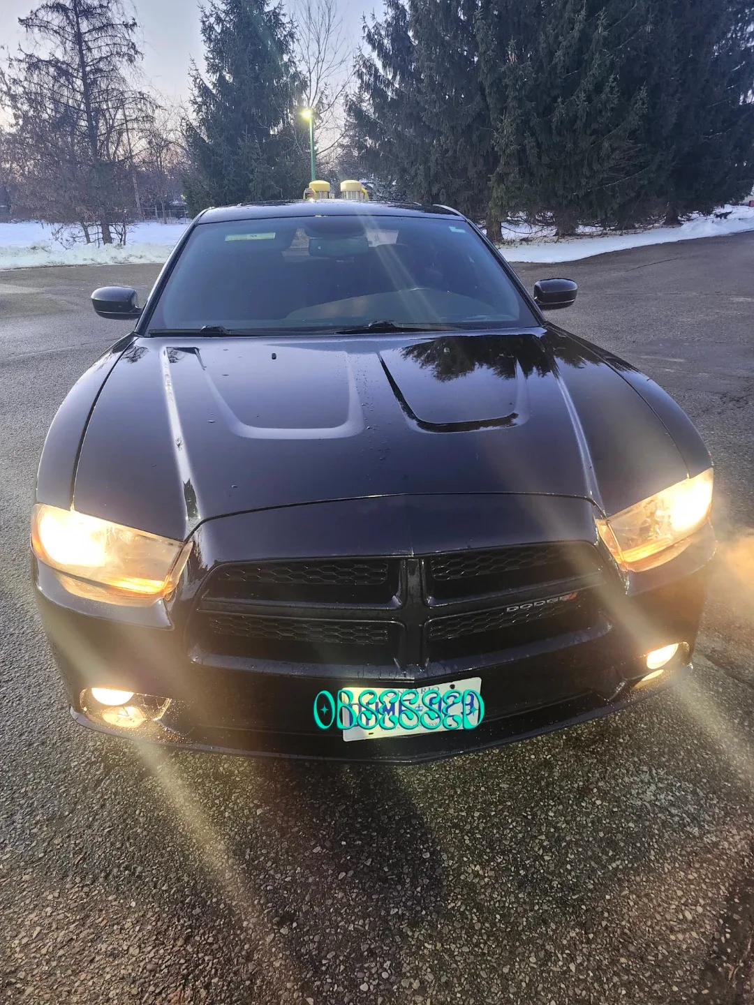 Dodge Charger - Black Sedan image indicator(5)