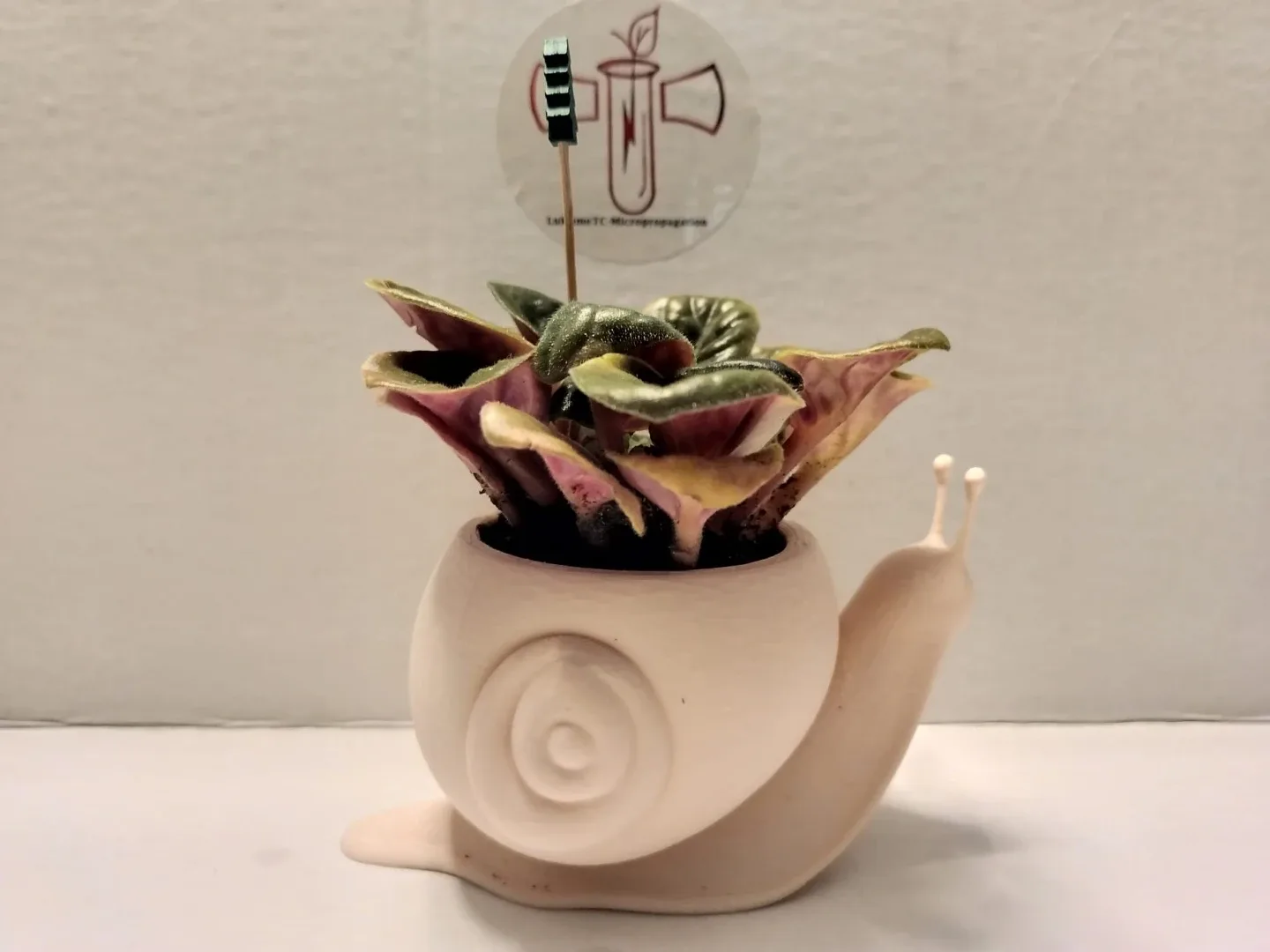 🌿 Healthy Plants in Custom 3D Printed Planters image indicator(3)
