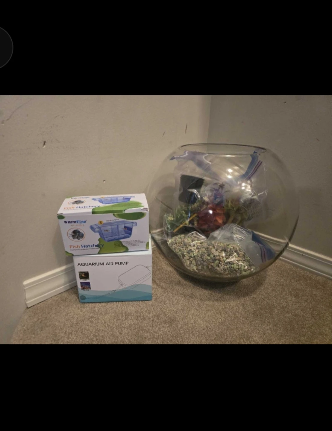 Fish Bowl with Gravel, Decorations & Air Pump