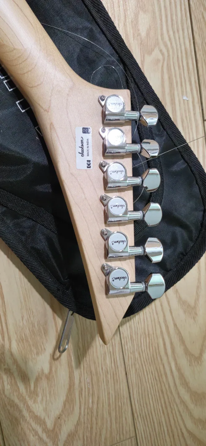 Jackson Electric Guitar with Ritter Gig Bag image indicator(4)