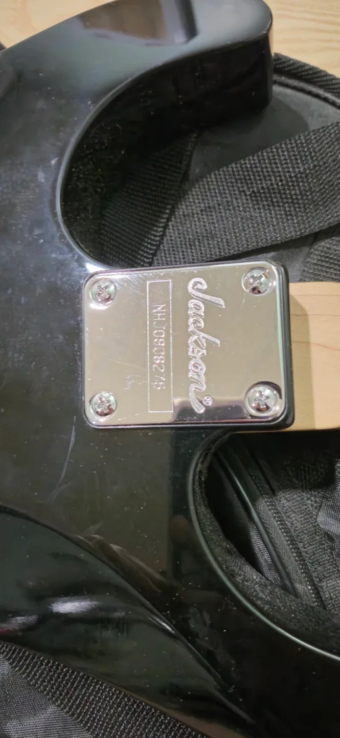 Jackson Electric Guitar with Ritter Gig Bag image indicator(5)