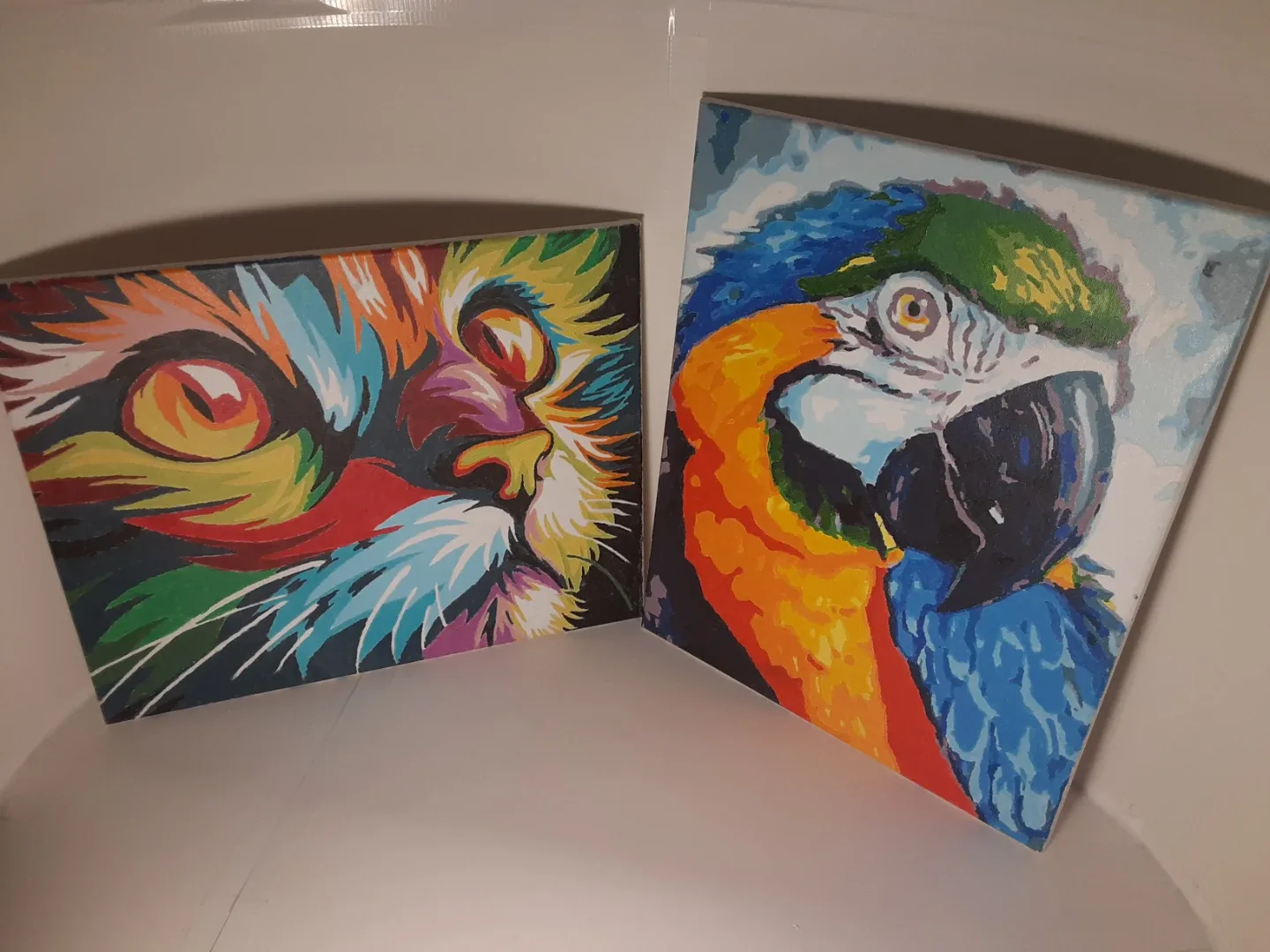 Cat & Parrot Paintings | Canvas Paint by Numbers Art 20"x16"
