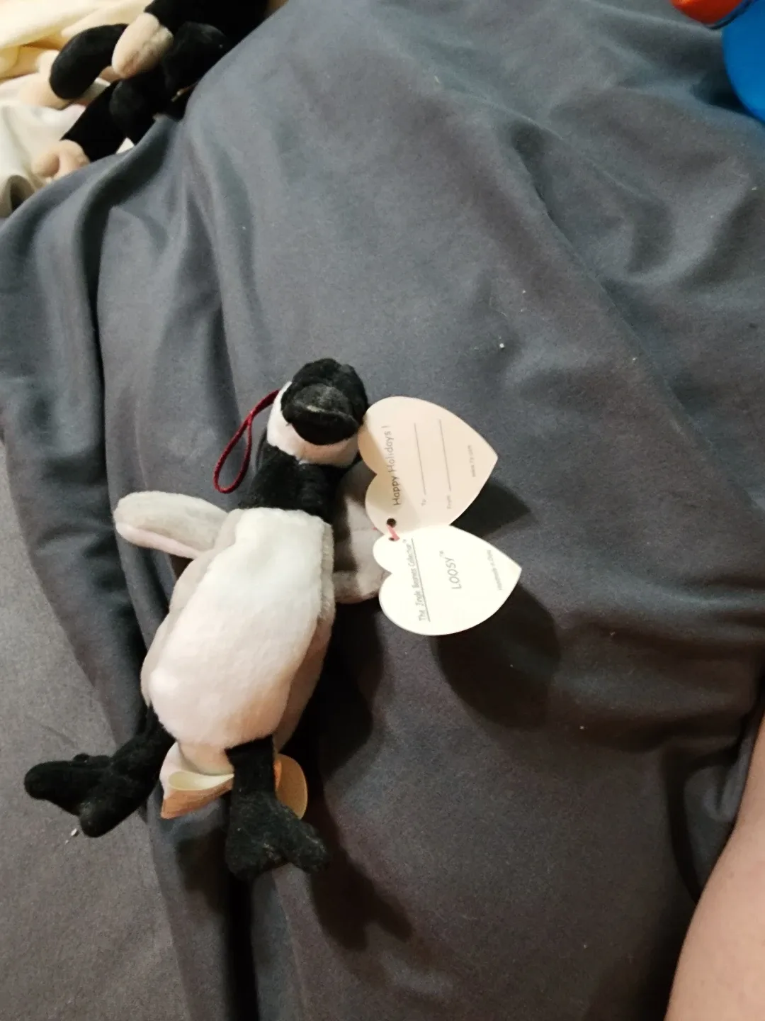 Ty Beanie Baby - Loosy the Goose