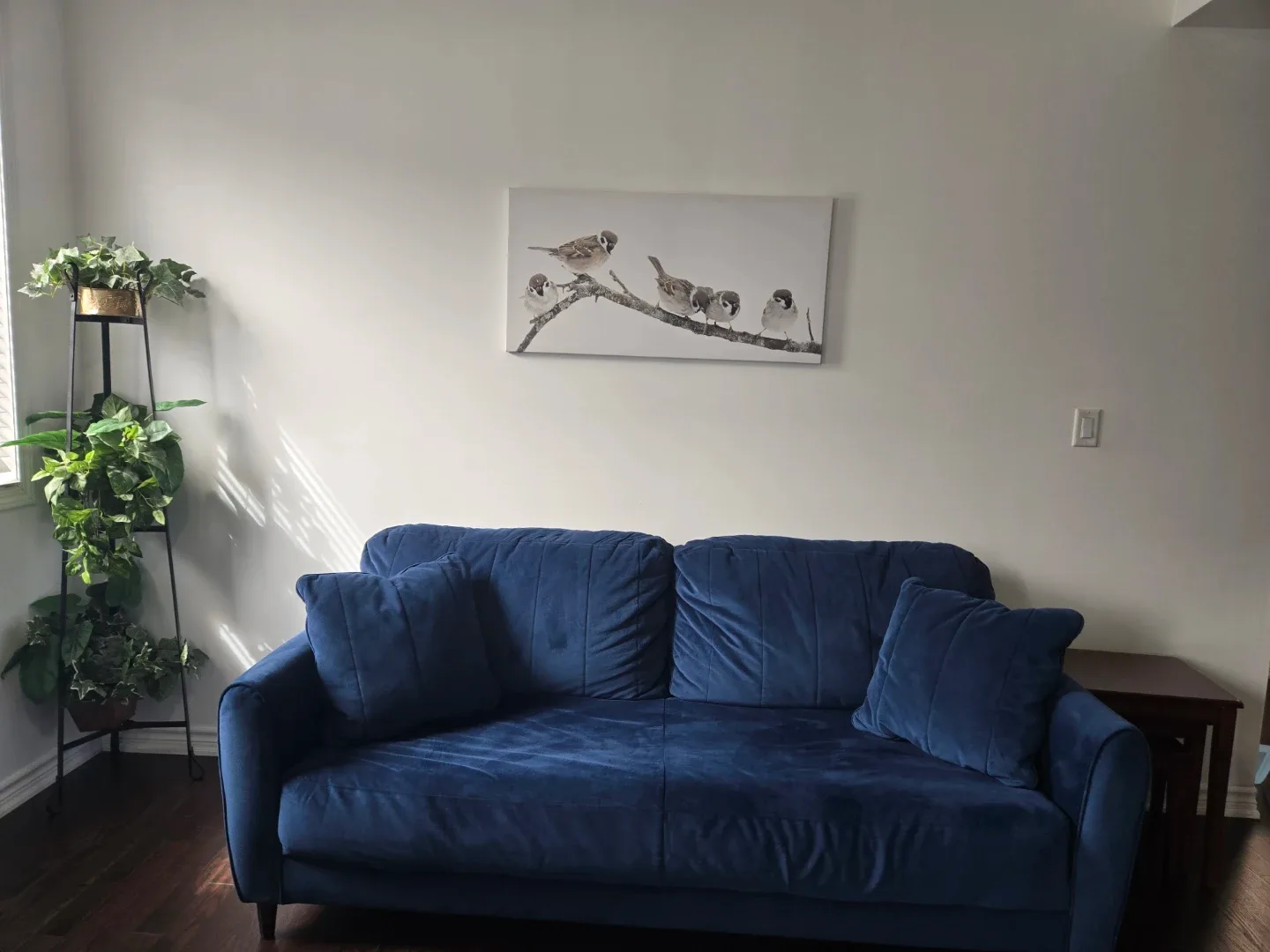 Blue Velvet Sofa