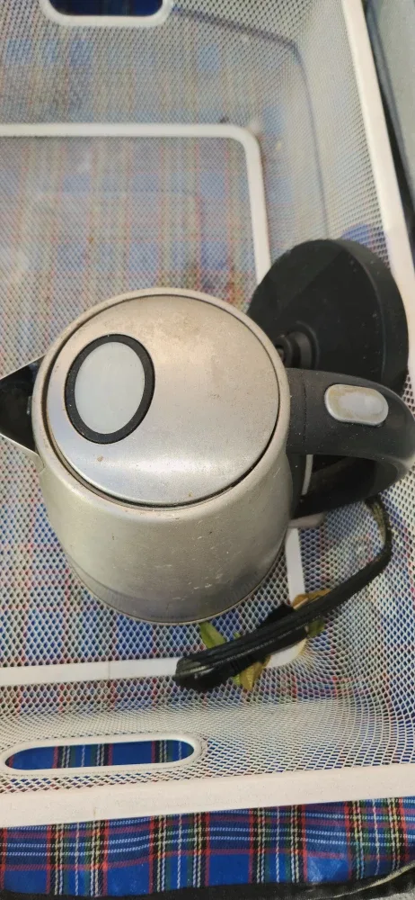 Electric Kettle #cleanout