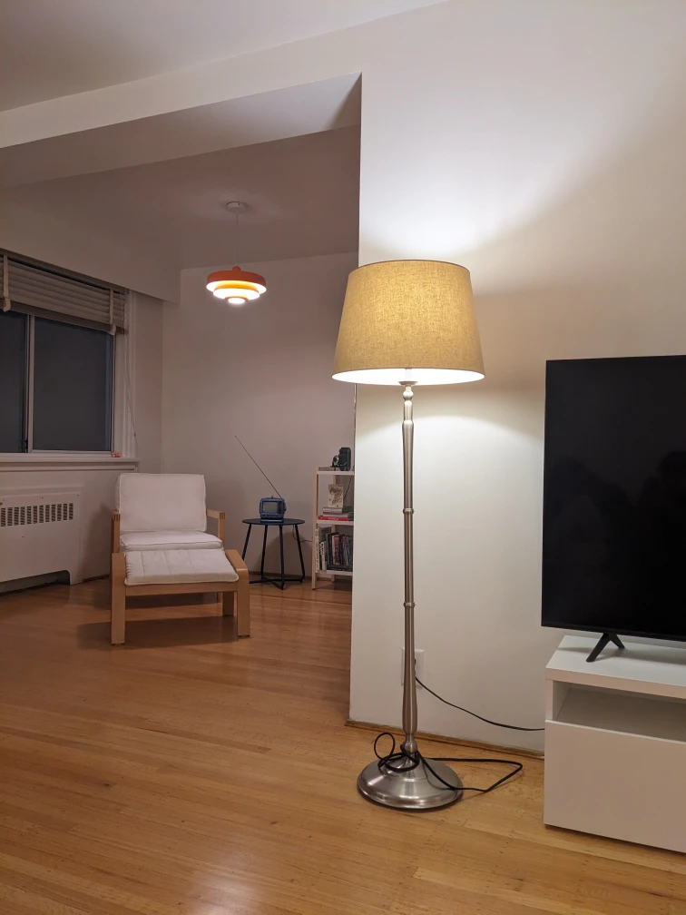 Floor Lamp (Dimmable)