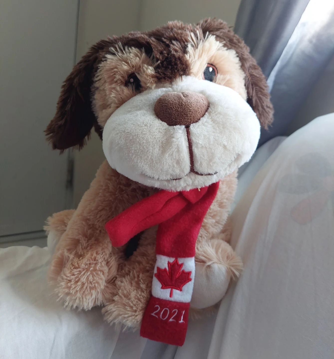 Dog Plush with Canada Scarf