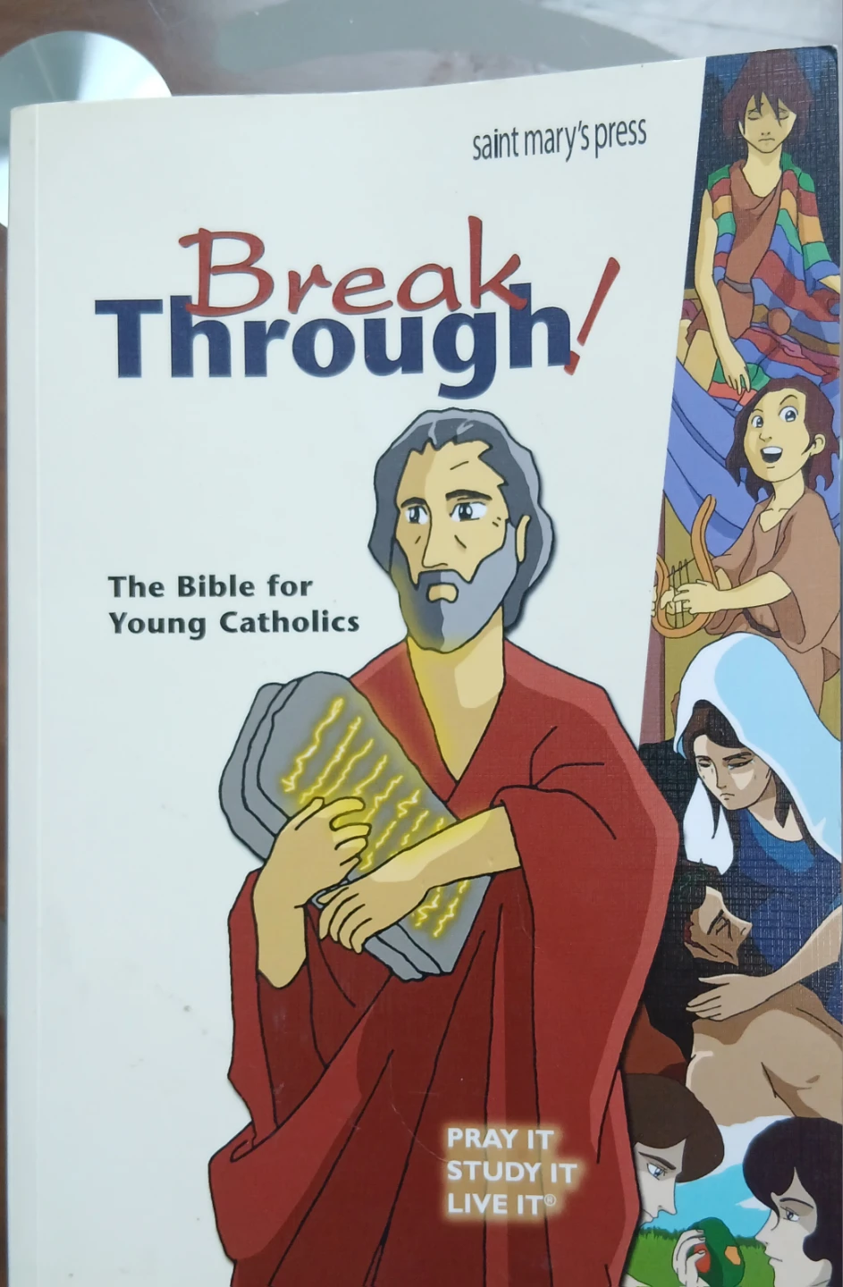 BreakThrough! Bible for Young Catholics