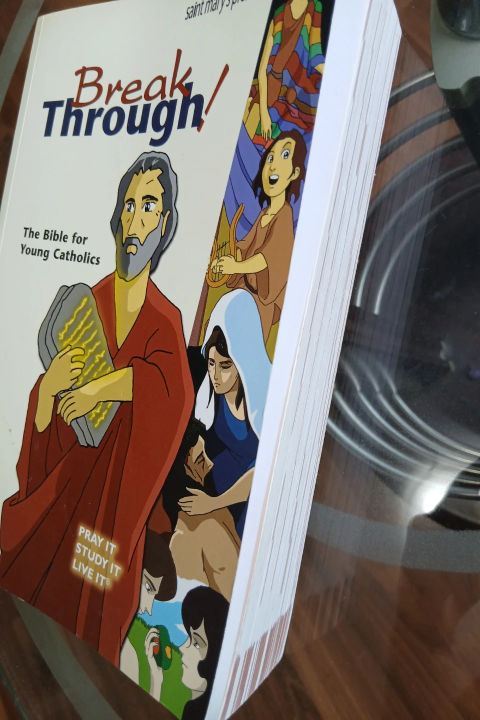 BreakThrough! Bible for Young Catholics - photo 3