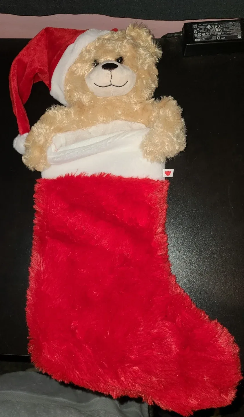 New build a bear stocking