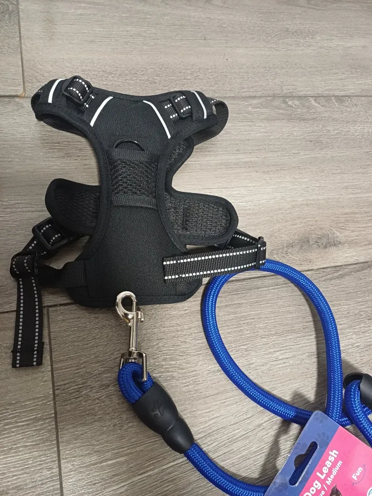 2x Top Paw Dog Harnesses & Leashes - Small image indicator(5)