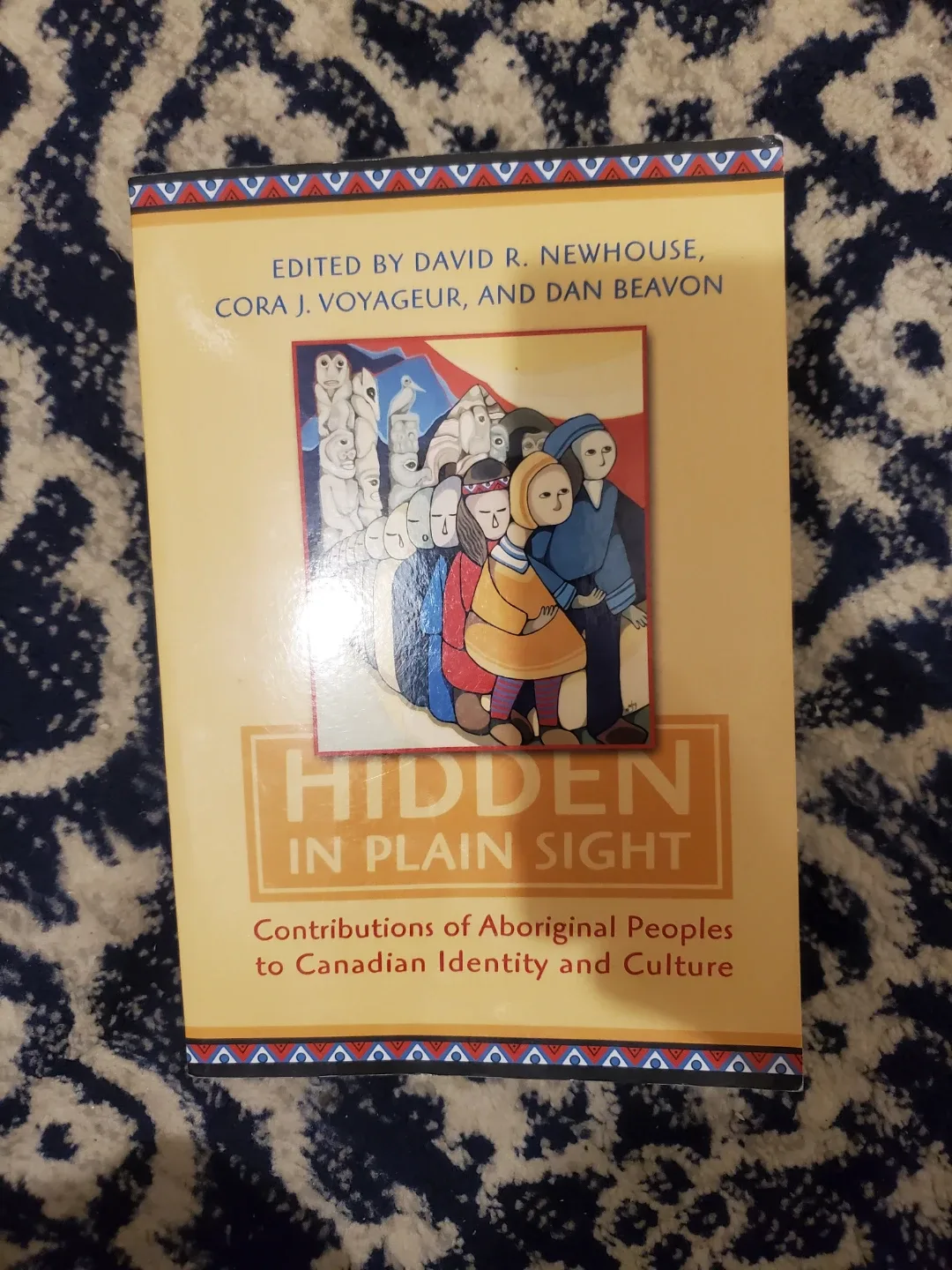 Hidden in Plain Sight Book
