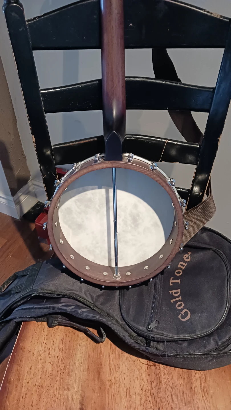 Gold Tone Banjo with Case - photo 5