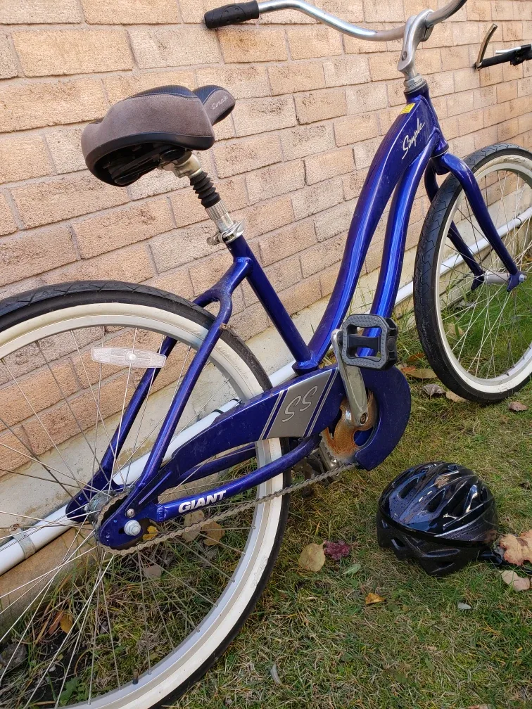 #Cleanout Giant Simple Cruiser Bike - Blue image indicator(3)