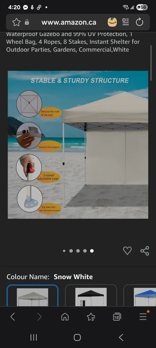 10X10 FT Pop Up Canopy Tent w/1 Sidewall image indicator(2)