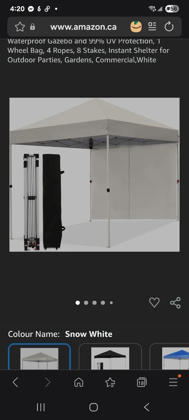 10X10 FT Pop Up Canopy Tent w/1 Sidewall image indicator(3)