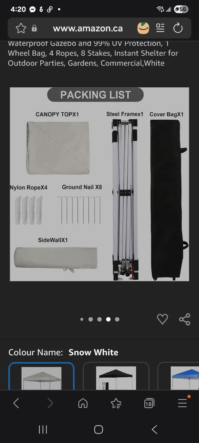 10X10 FT Pop Up Canopy Tent w/1 Sidewall image indicator(6)