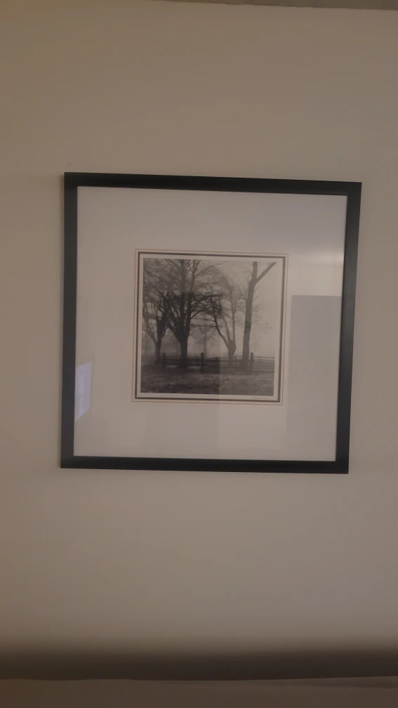 2 beautiful pictures 10$ - photo 2