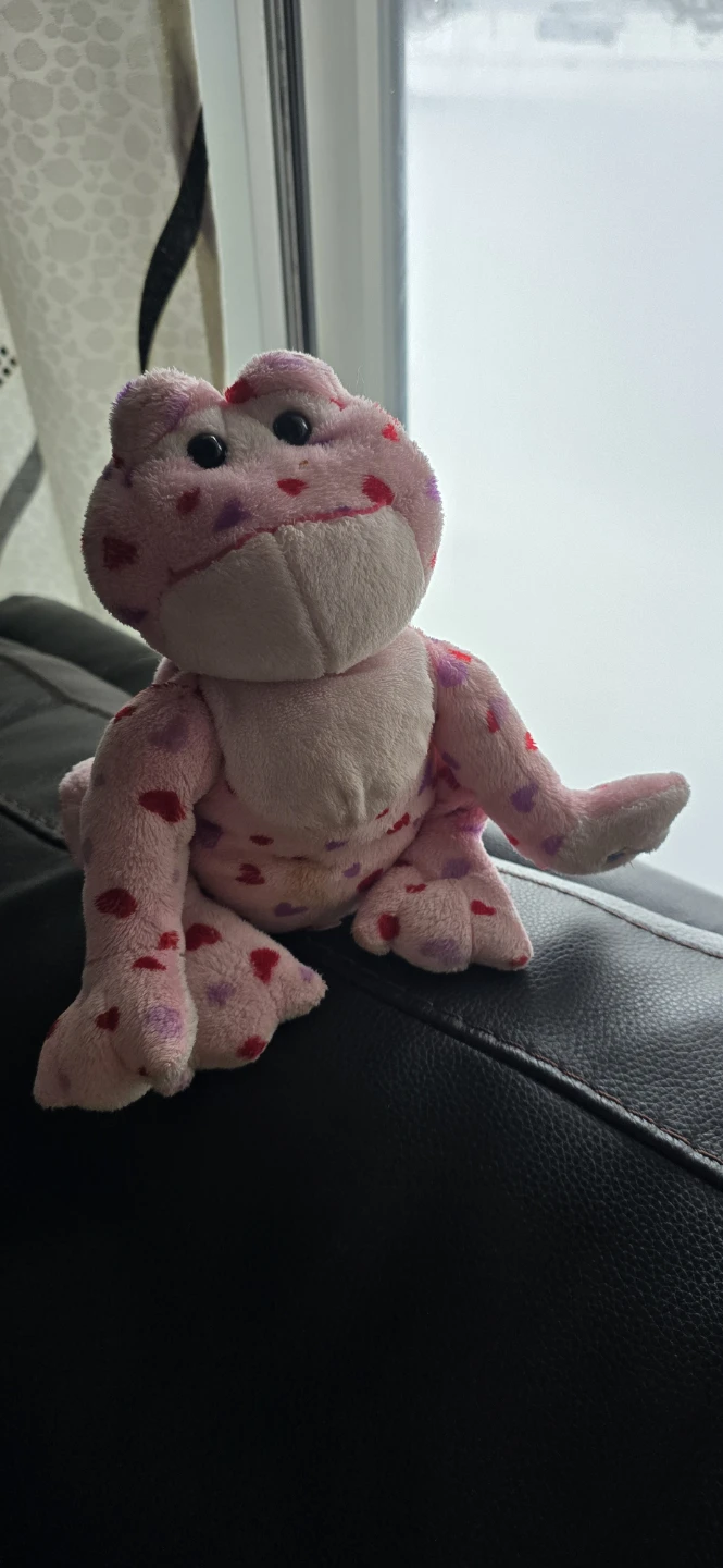 Webkinz Plush Frog - Pink and Green - photo 4