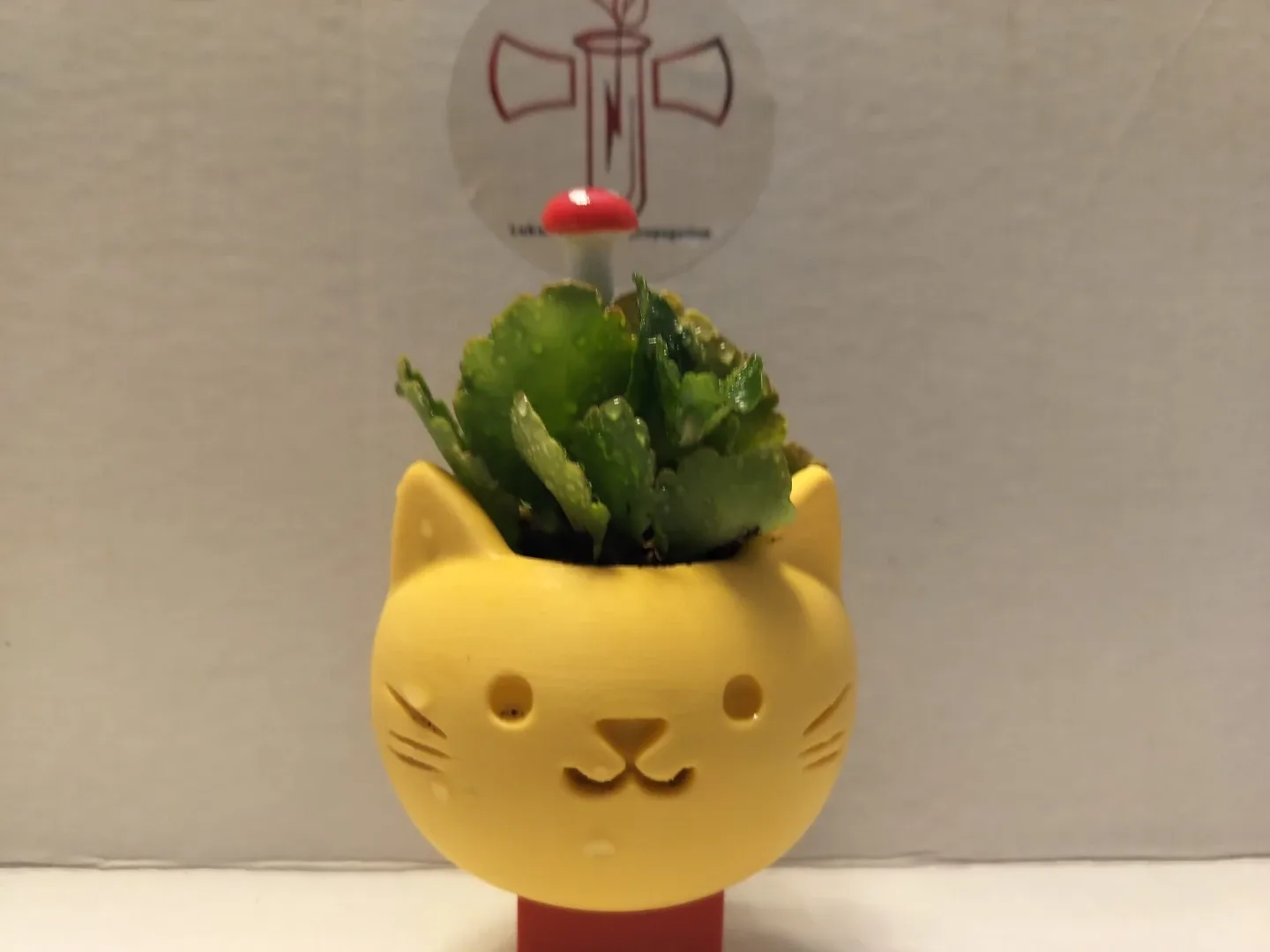 🌿 Healthy Plants in Custom 3D Printed Planters image indicator(2)