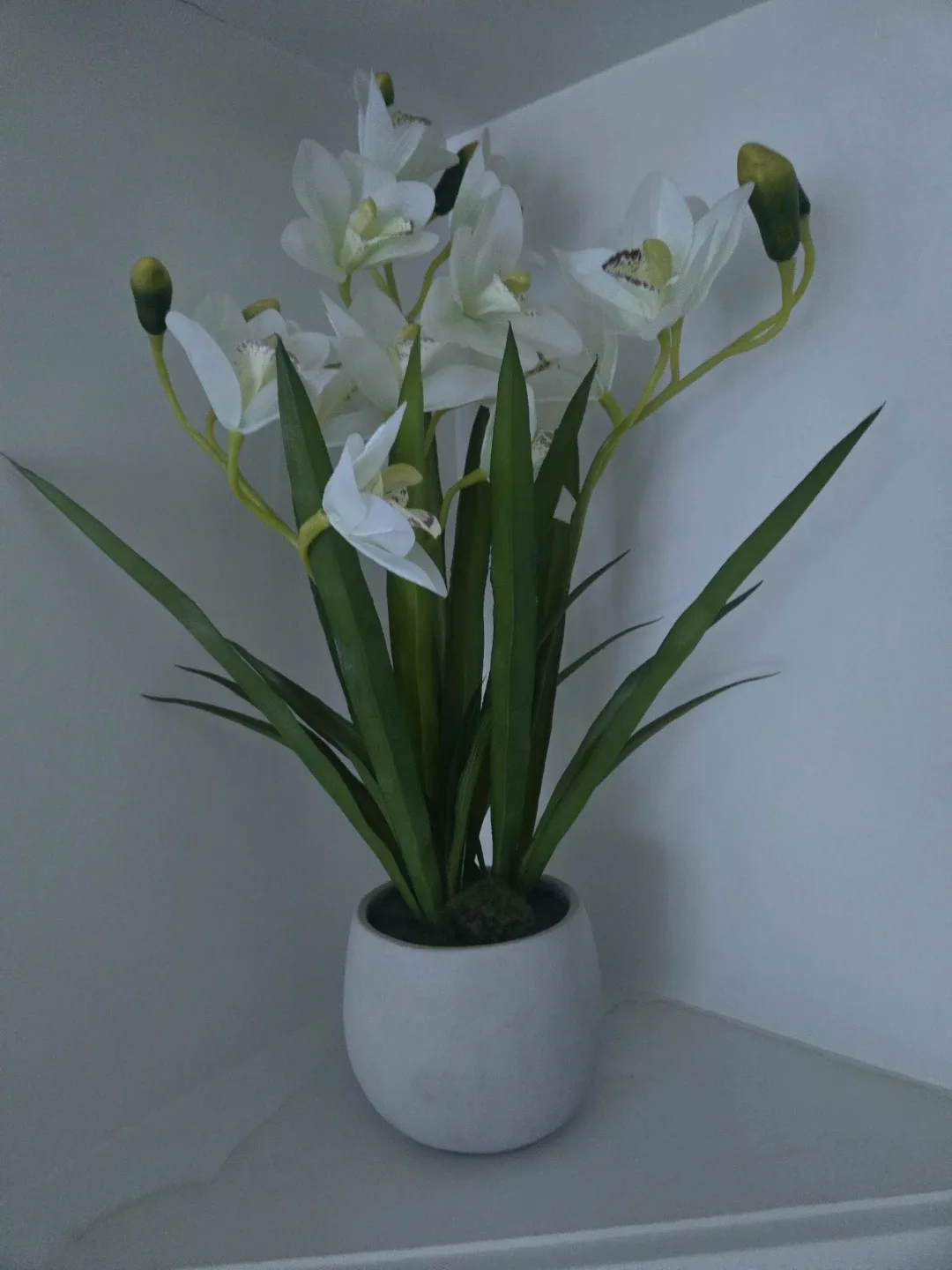 White Artificial Orchid in Pot