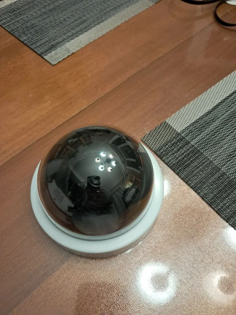 Flase Security Camera