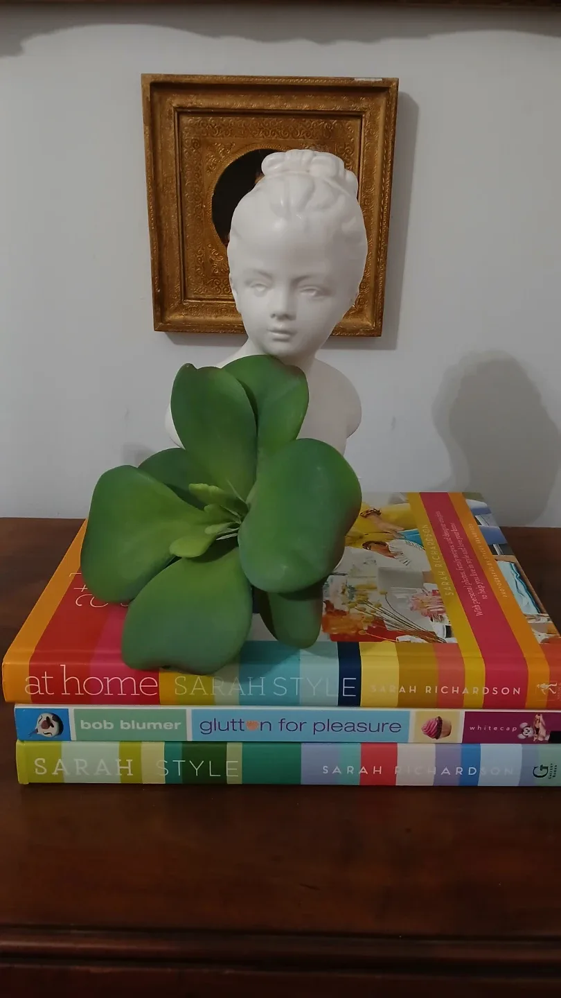 Sarah Style by Sarah Richardson Book Set