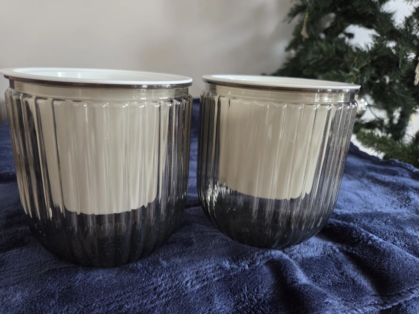 2 Pack Self Watering  Planters Indoor Flower Pots