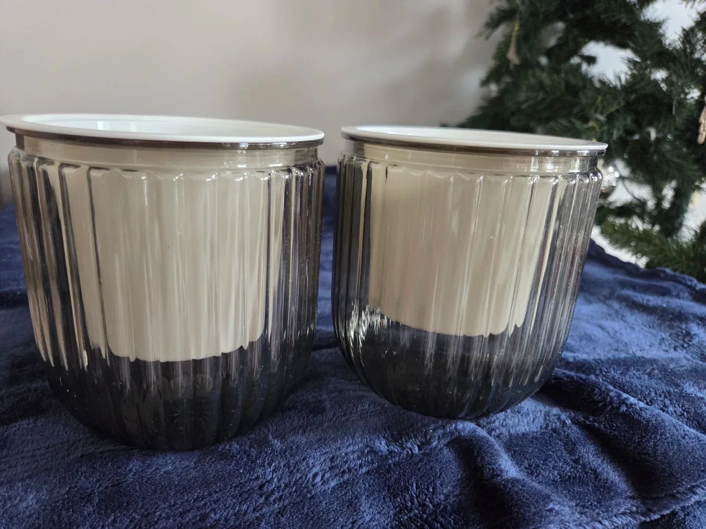 2 Pack Self Watering  Planters Indoor Flower Pots