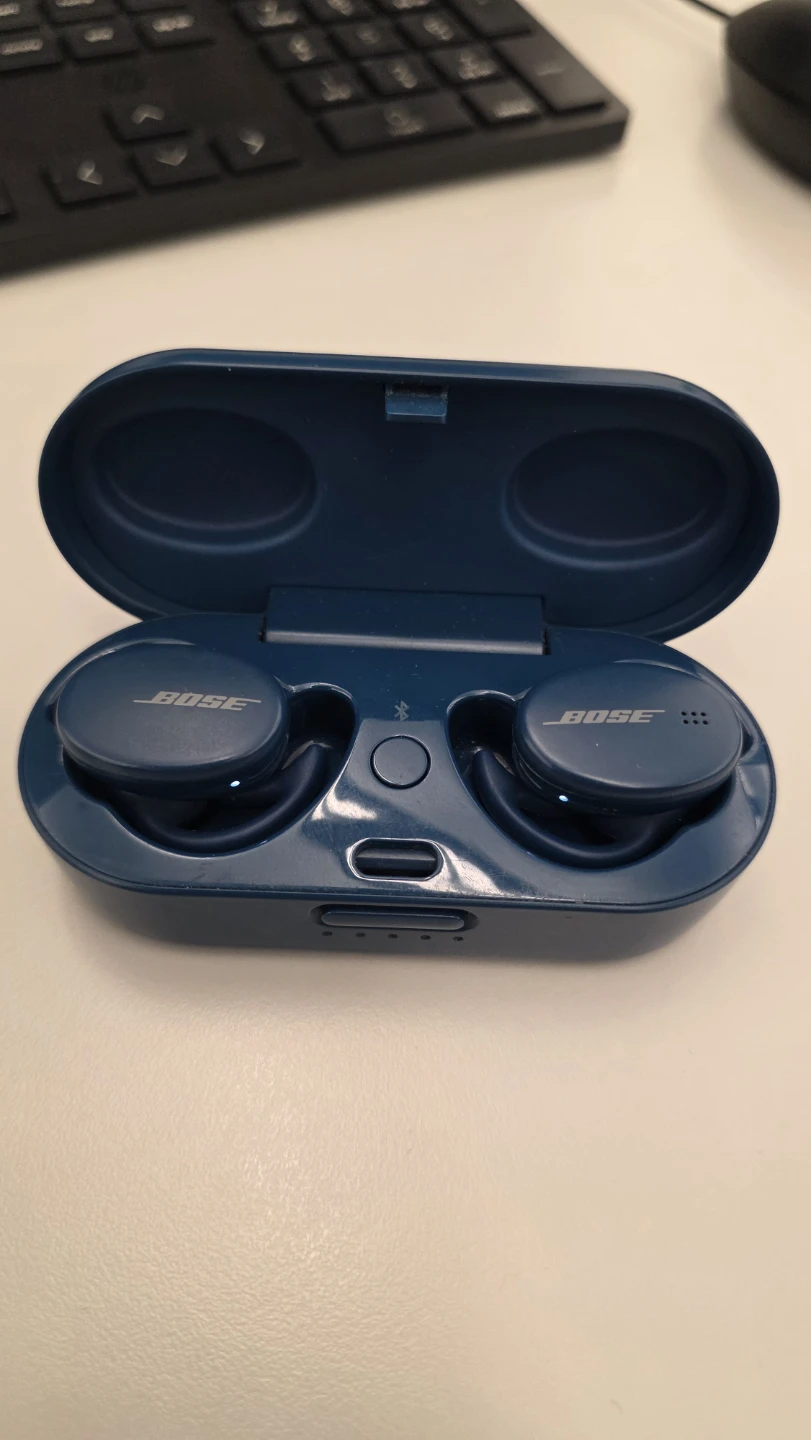 Bose QuietComfort Earbuds - Blue