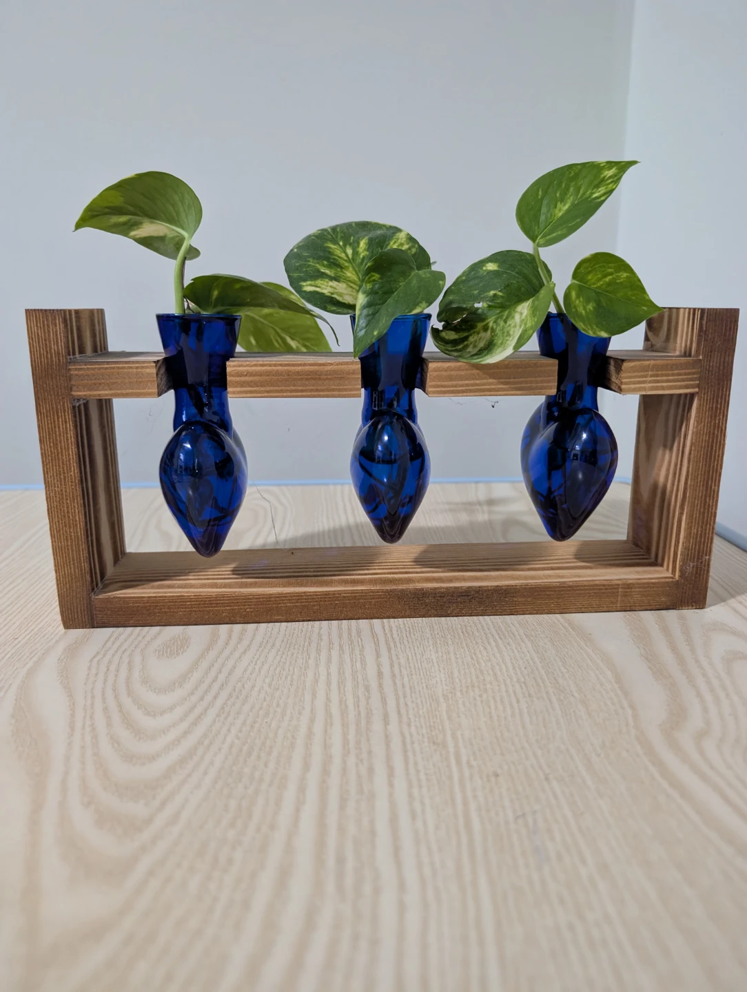Triple Bud Vase Propagation Station