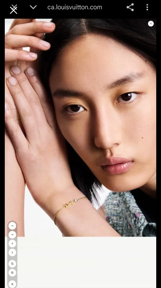 Louis Vuitton Bracelet-Christmas gift