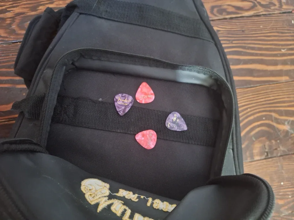 Martin & Co. Guitar with Case image indicator(2)