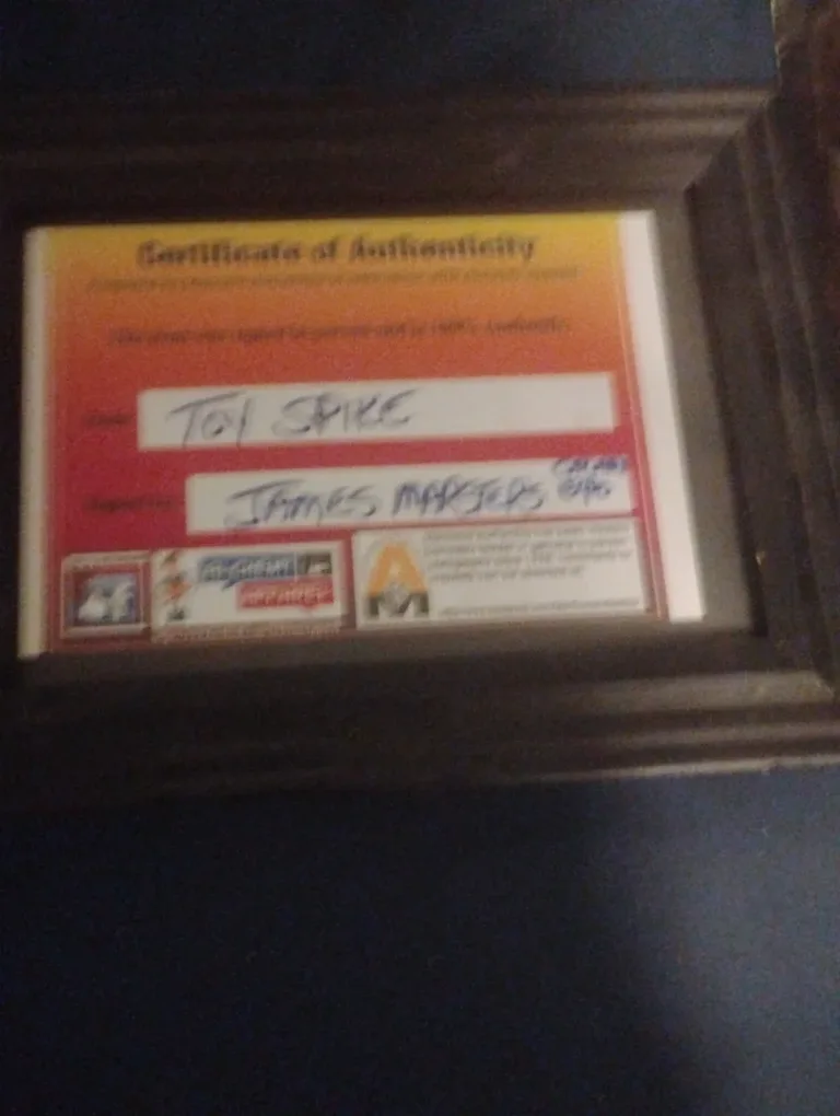 Angel Spike Action Figure Signed James Marsters image indicator(3)