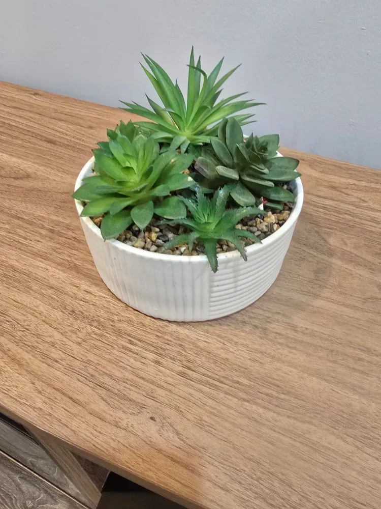 Artificial Succulent Arrangement in White Pot