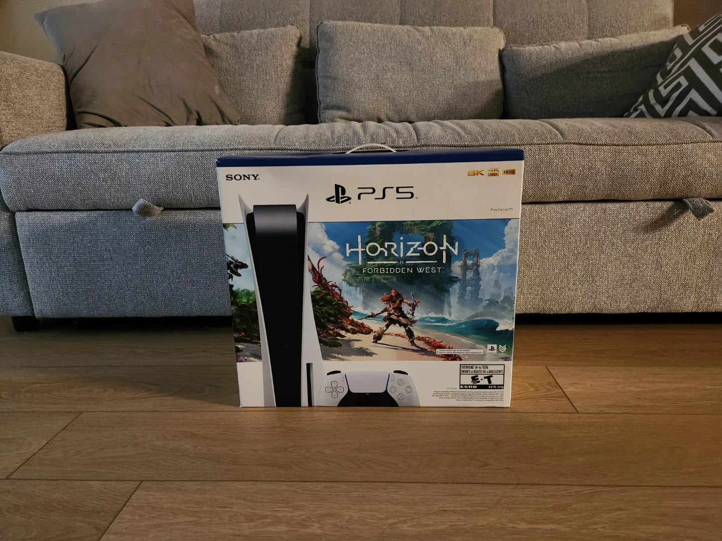 Sony Playstation 5 Horizon Forbidden West Bundle no control