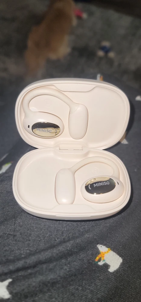 New Wireless Earbuds with Language Translation