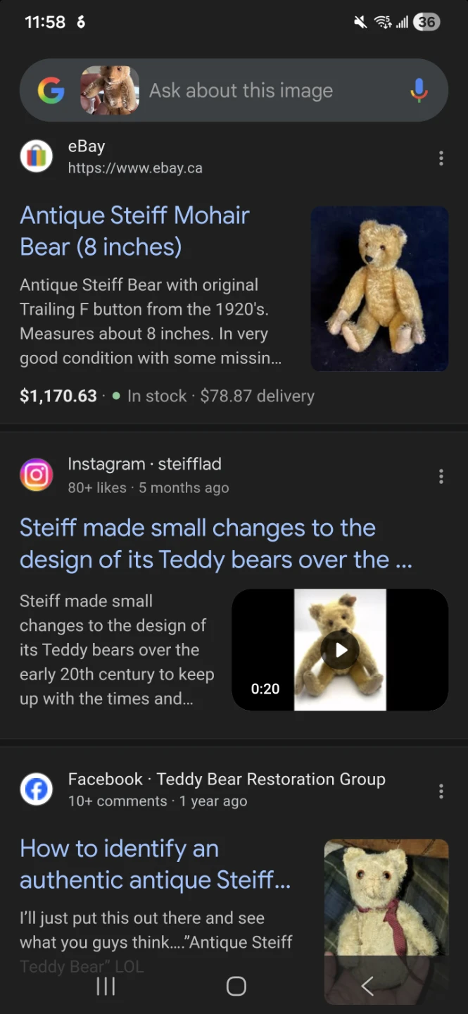 Vintage Steiff Mohair Teddy Bear - photo 4