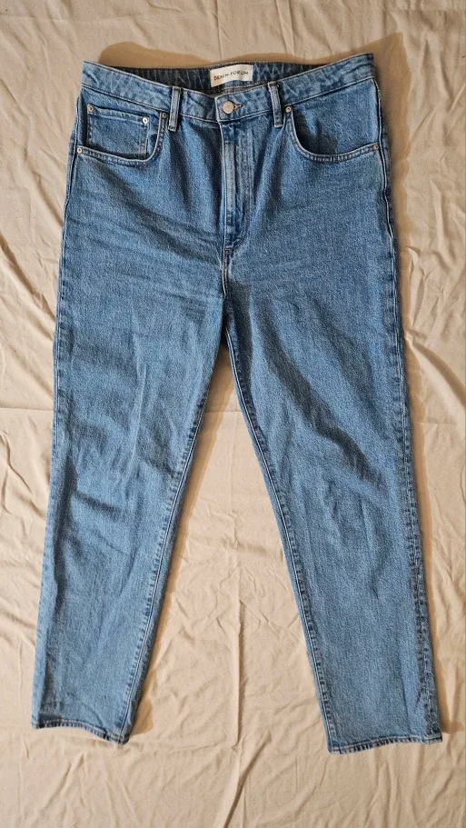 Aritzia Denim Forum Jeans