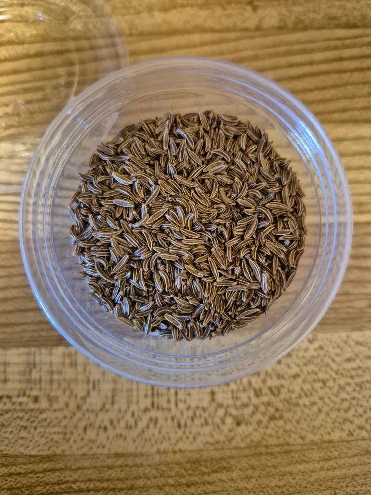 Celery Seed ➕ Caraway image indicator(3)