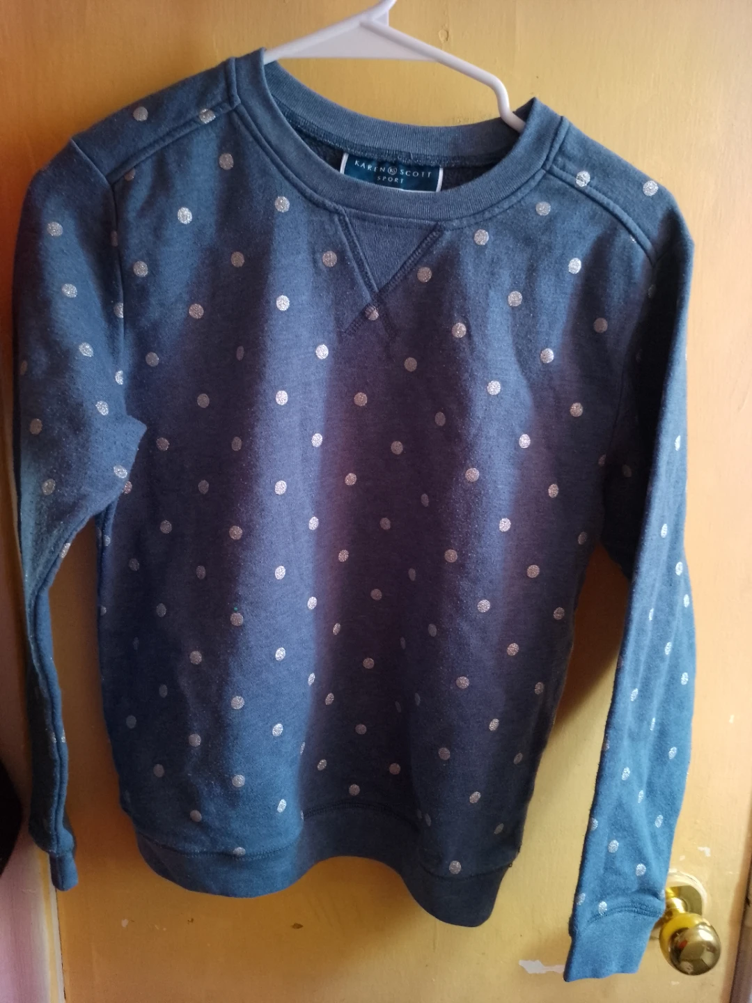 Karen Scott Sport PP Blue Polka Dot Sweatshirt