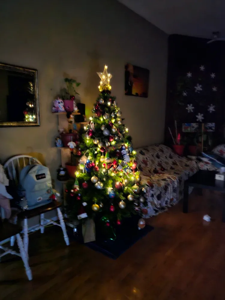 Private room for rent