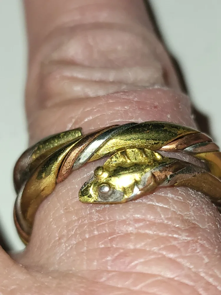 Snake Ring