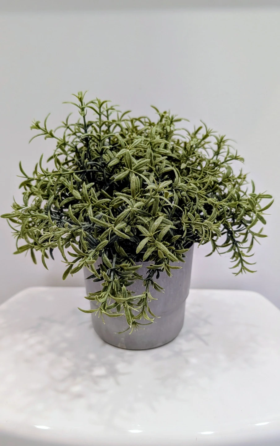 Artificial Rosemary Plant in Pot
