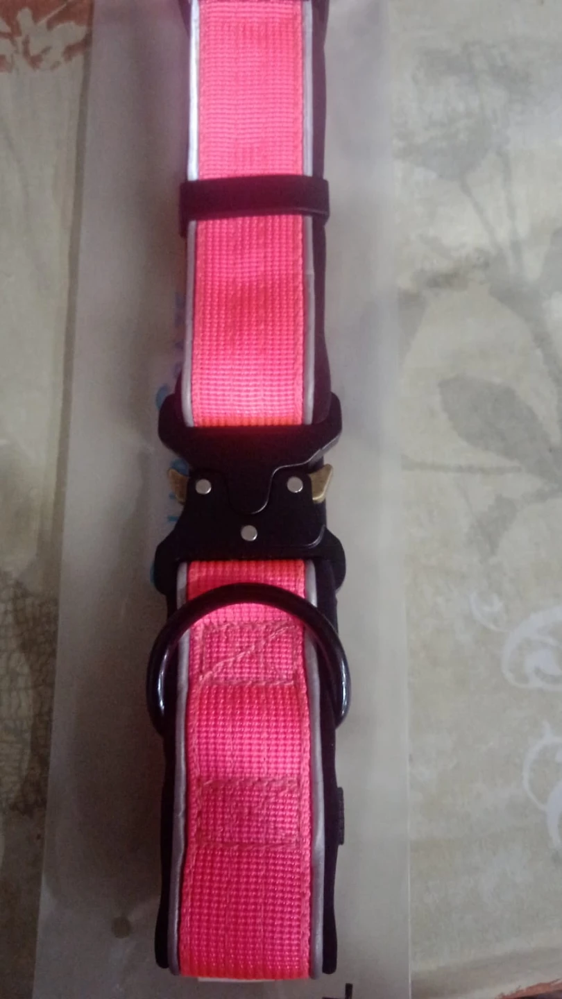 Brand: CollarCraze Dog Collar for Dogs (Pink, L) - photo 4