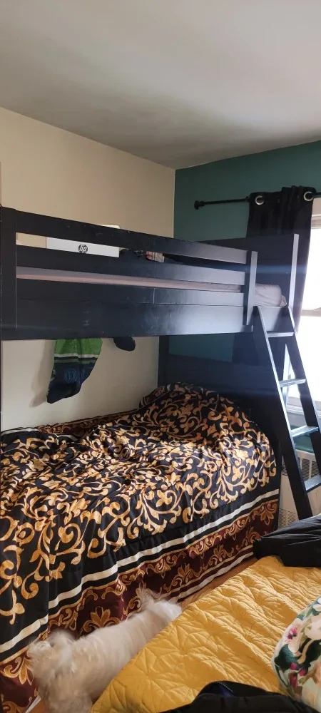 Black Bunk Bed Frame with Ladder solid wood twin size