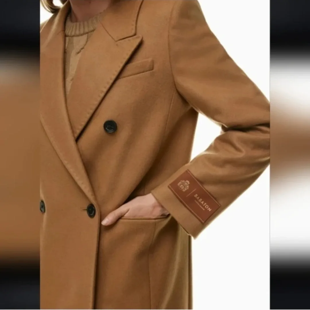 Aritzia Babaton The Constant Coat - Virgin Wool image indicator(2)