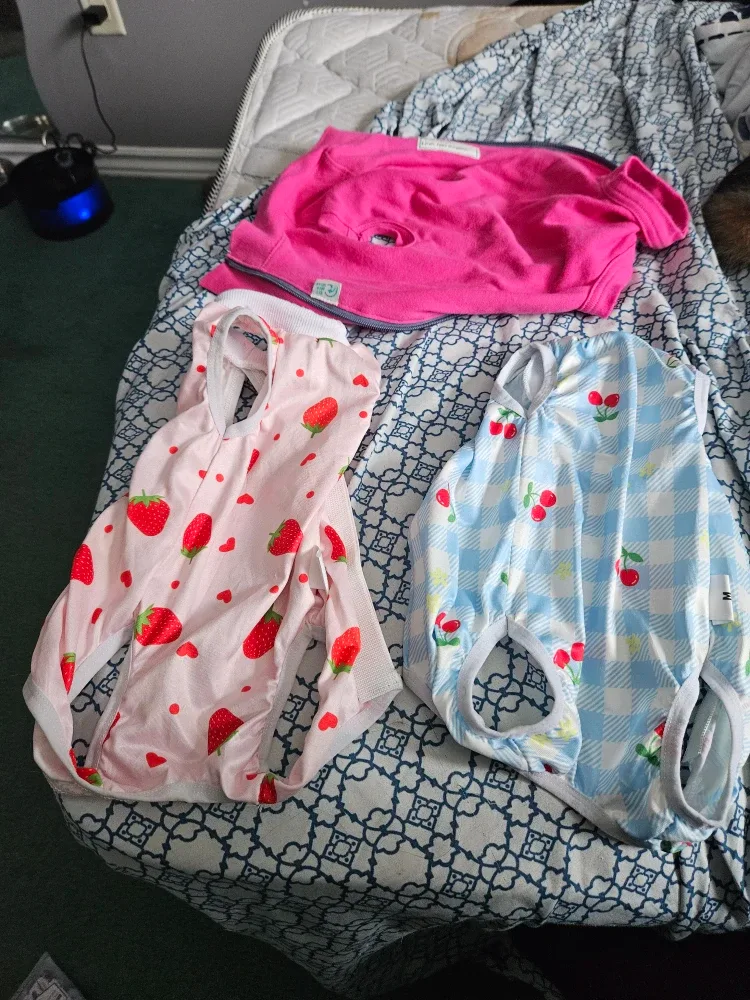 small dog /cat Recovery Suits (3)