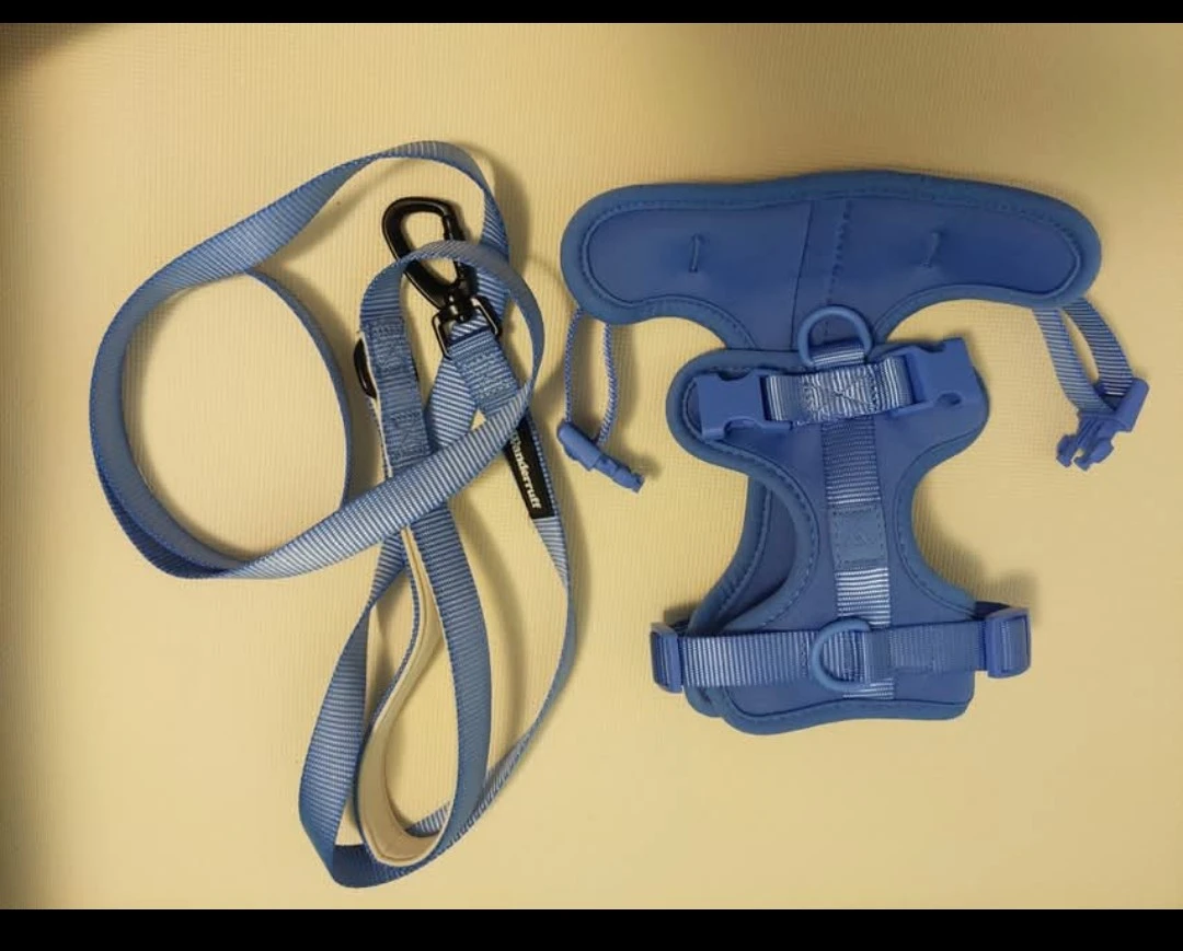 Wanderruff Dog Harness & Leash Set - Blue