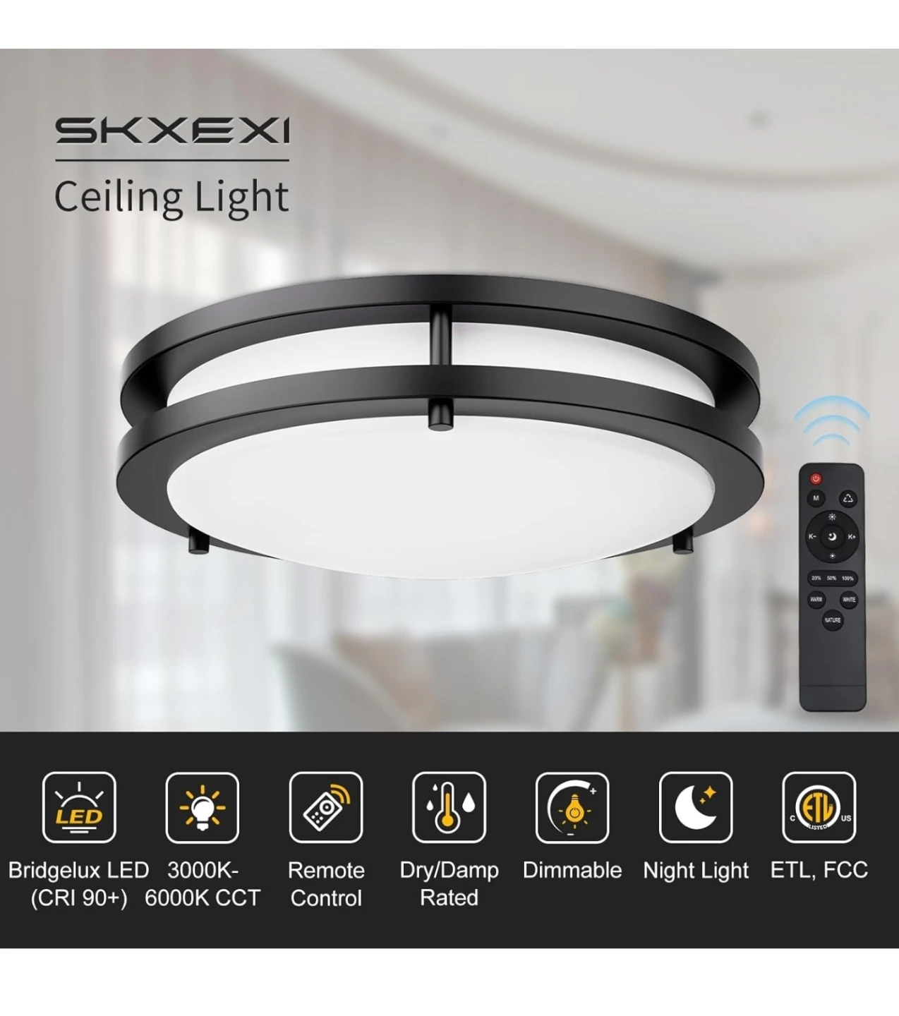 Flush Mount Ceiling Light - photo 3